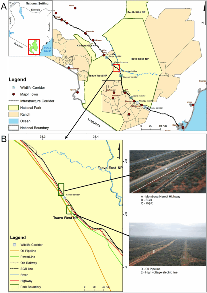 How many days to go on a safari in tsavo national parks